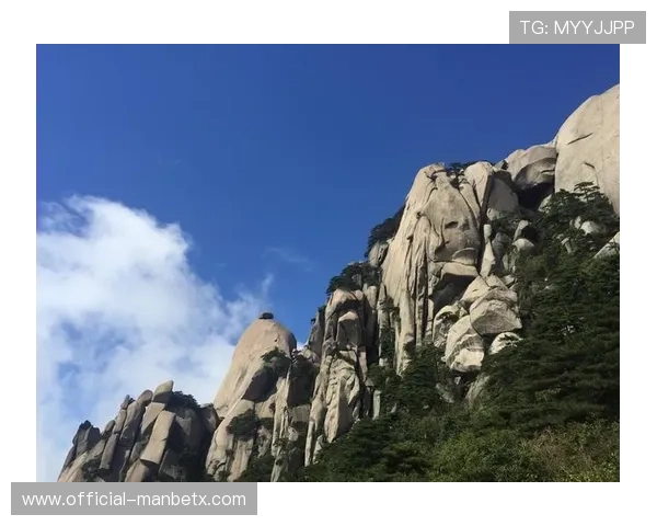 万博官网man手机登陆遇到问题怎么办？全面排查与快速解决技巧分享